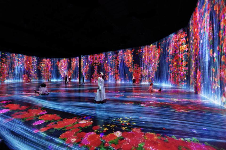 In “Flowers and People, Cannot Be Controlled But Live Together — Transcending Boundaries, A Whole Year per Hour” by teamLab, you can touch the walls and make flowers bloom.