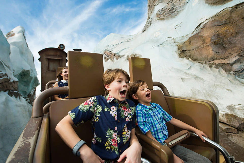 Expedition Everest in Disneys Animal Kingdom