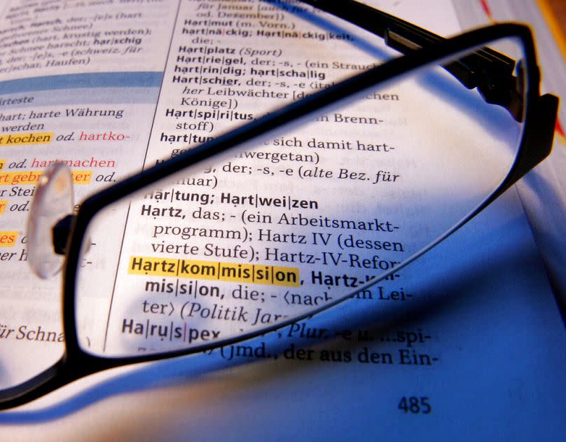 The word "Hartz", standing for dole, is seen in the Duden dictionary, November 2006
