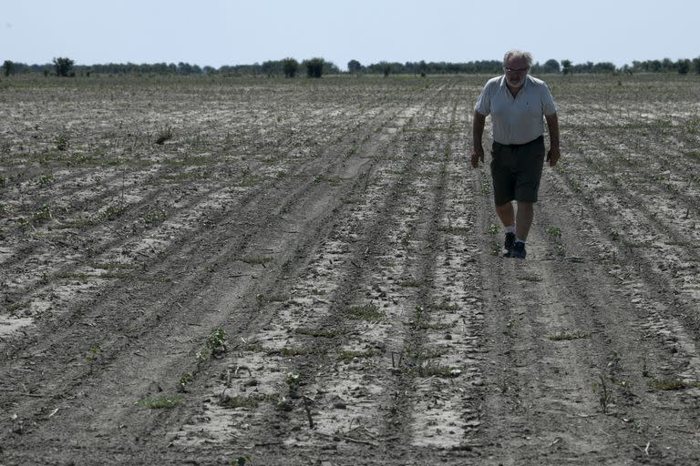 Habrá fuertes pérdidas económicas para los productores