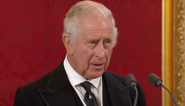 King Charles III addresses Privy Council members after being proclaimed the UK's monarch. (Photo: Sky News)