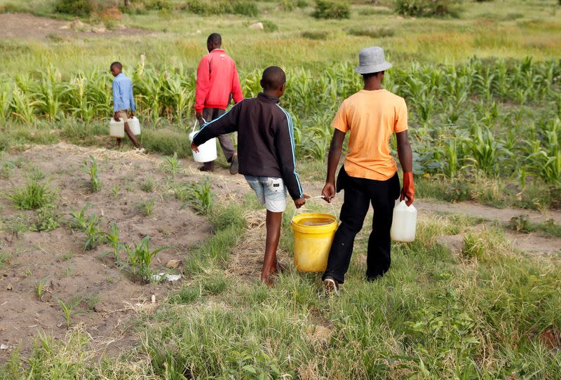 Residents collect borehole water as the region deals with a prolonged drought in Bulawayo