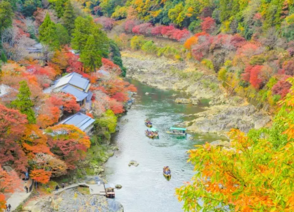 日本旅遊｜低至5折！紅葉一日遊5大優惠推介 東京出發一日遊團最平$231起 懶人輕鬆睇盡山梨/輕井澤/箱根紅葉絕景