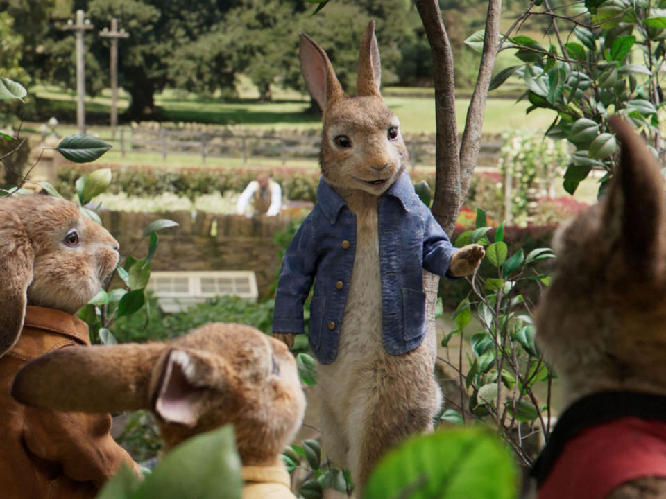 Für eine Szene in “Peter Rabbit” erntete Sony Kritik. (Bild-Copyright: Columbia/Sony Pictures/Kobal/REX/Shutterstock