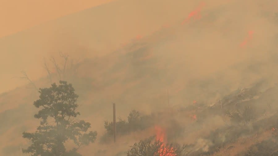 The Larch Creek Fire (KOIN)