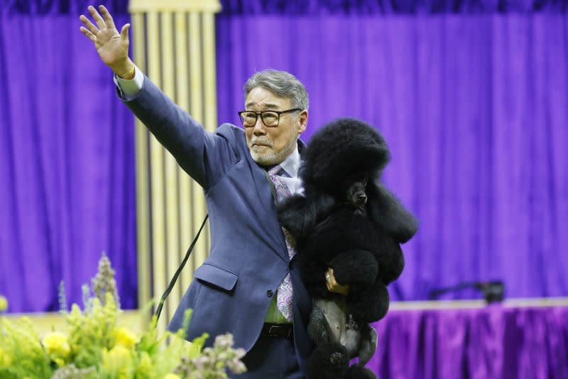 Sage the miniature poodle wins Best in Show at the 148th Annual Westminster Kennel Club Dog Show presented by Purina Pro Plan at the USTA Billie Jean King National Tennis Center on Tuesday in New York City. Its handler, Kaz Hosaka, waves to the crowd in what is to be his final show. Photo by John Angelillo/UPI