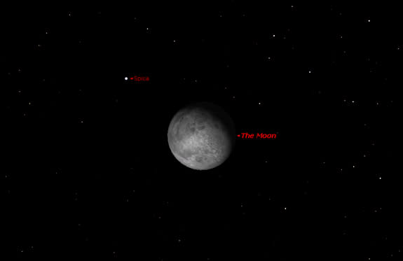 A close-up view of the night sky on March 1 at 1 a.m. shows the waxing gibbous moon and the star Spica making a close pass.