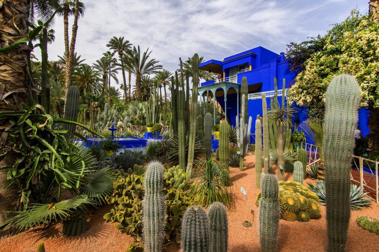 jardin garden majorelle