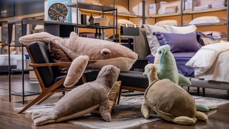 ▲HOLA推出一系列慵懶海洋動物造型抱枕，其中140公分鯨魚抱枕吸引許多《非常律師禹英禑》鐵粉。（圖／業者提供）