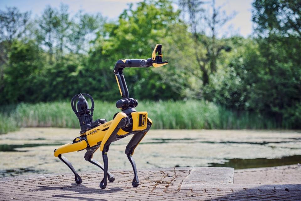 Tasks coders were challenged to programme the dogs to do included a 50-metre sprint; a gymnastics routine and problem solving. (MOD/PA)