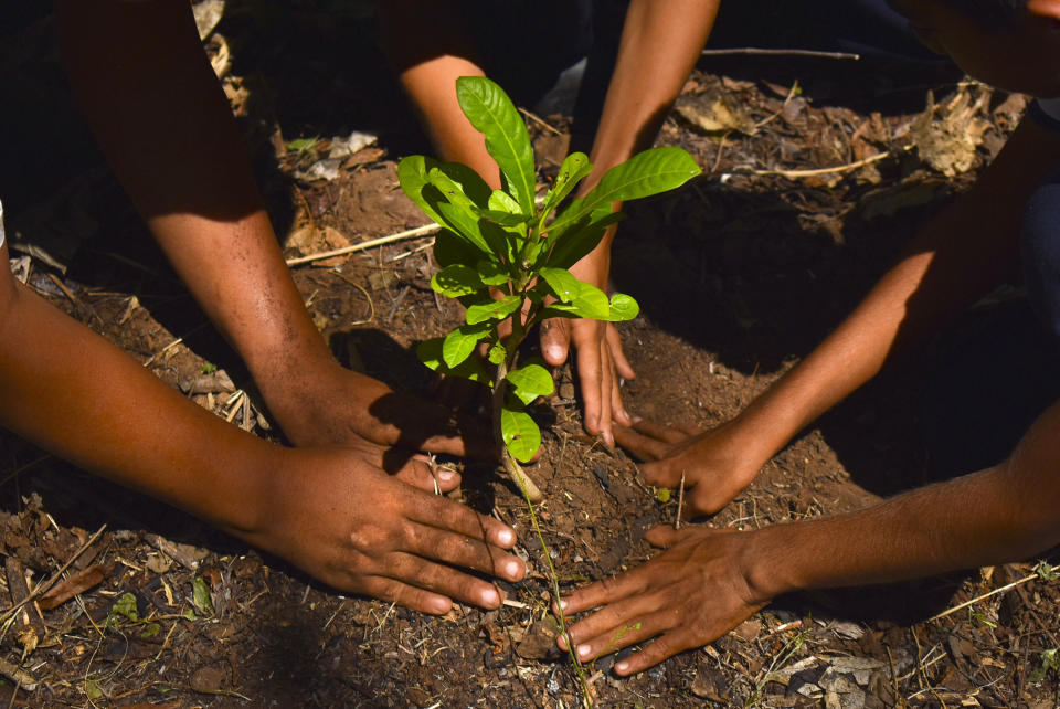 Estudiantes participan en una campaña de reforestación de El Salvador en el parque ecológico Walter Deininger en La Libertad, 34 km al sur de San Salvador, el 5 de junio de 2017 (AFP | Oscar RIVERA).