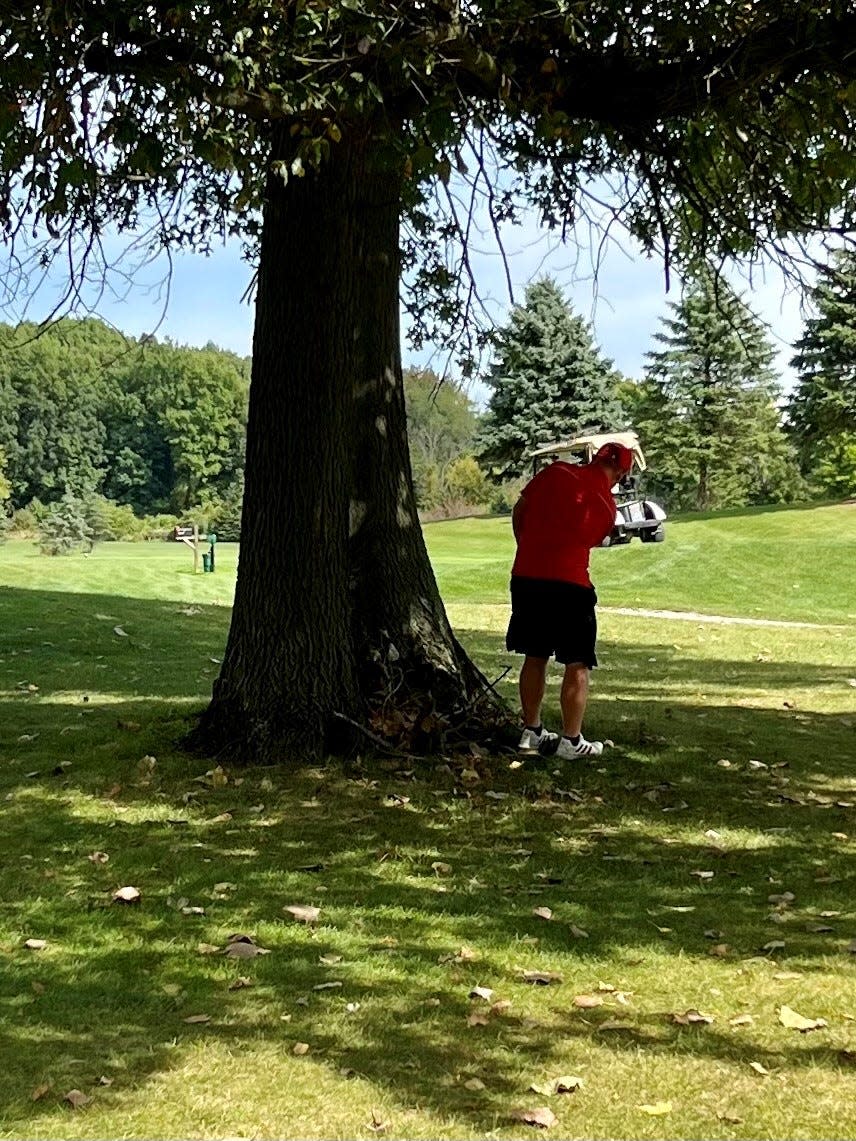 Marion Harding's Austin Allen chips onto the green from a tough position during the Mid Ohio Athletic Conference Boys Golf Tournament last week at the Country Club of Bucyrus.