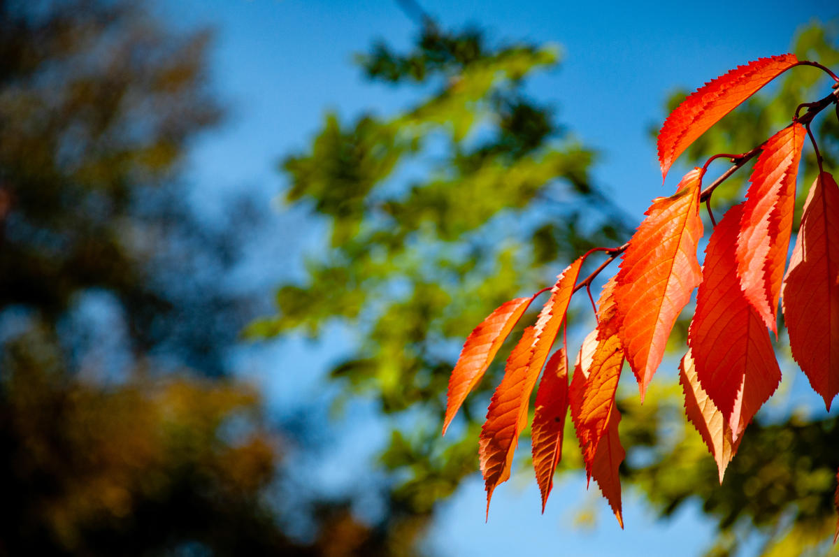 Two stock market stats giving investors some hope this fall: Morning Brief