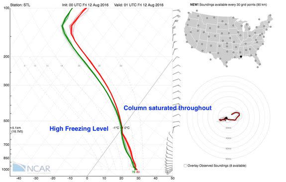 Atmospheric sounding over Louisiana on August 13, 2016, showing warm rainfall processes at work.