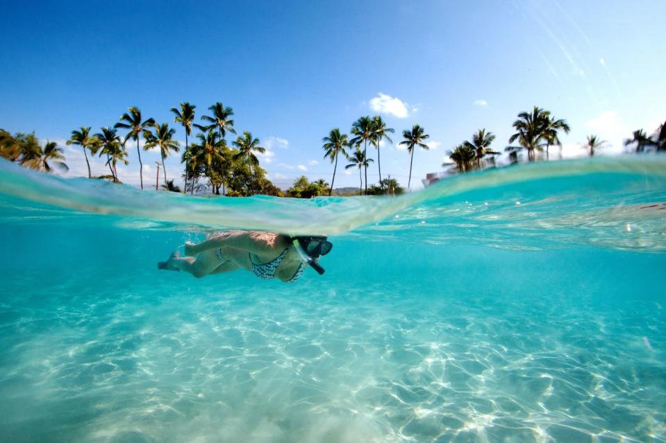 snorkeler