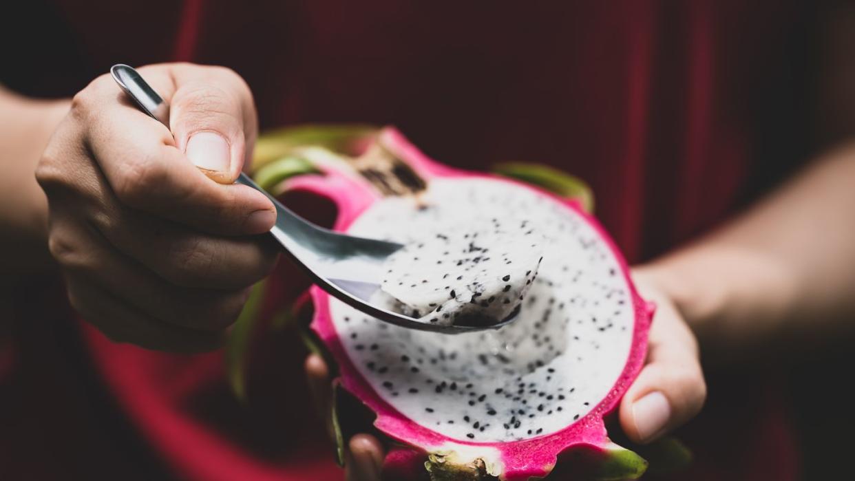 half dragon fruit in hand eating by spoon, tropical fruit in summer season