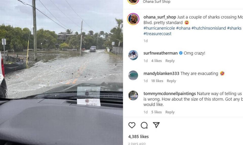 Escena callejera en Hutchinson Island, Florida/ Captura de pantalla de Instagram/Ohana Surf Shop