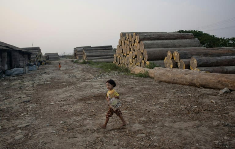 A girl carries a basket at a logging storage site on the outskirts of Yangon, Myanmar in 2014