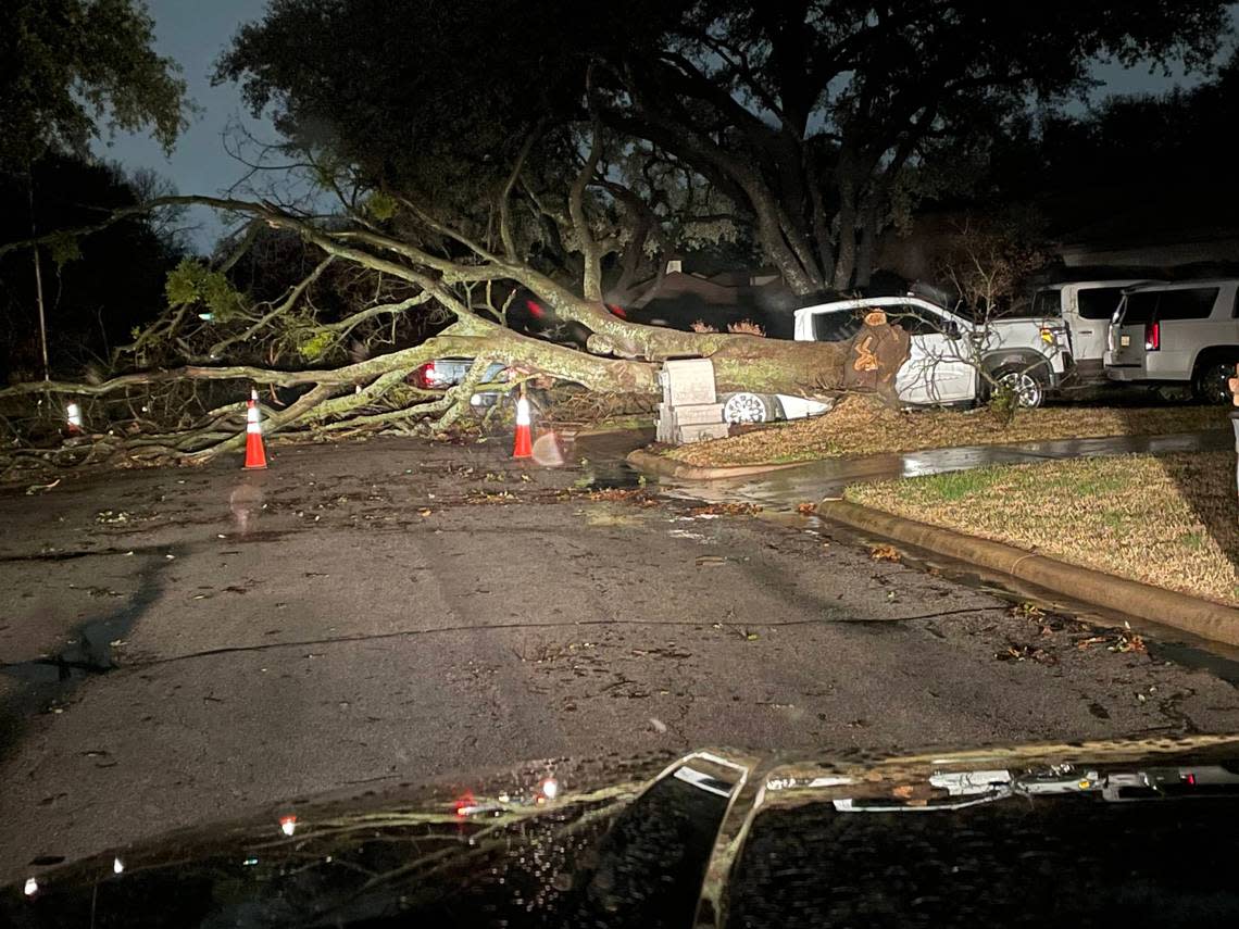 A large tree blocks a road in North Richland Hills after a storm on Thursday, March 2, 2023.