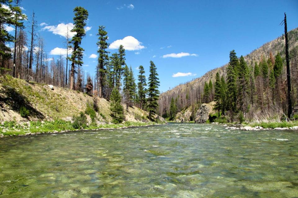 "Gin Clear" Middle Fork of the Salmon River, Frank Church River of No Return Wilderness Area, Idaho.