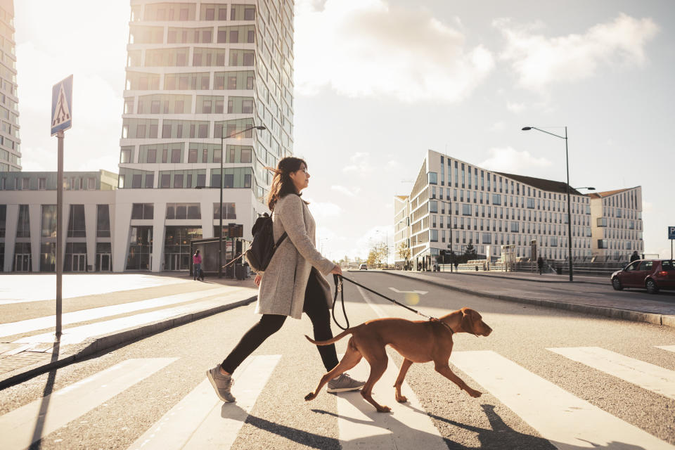 A woman walking her dog