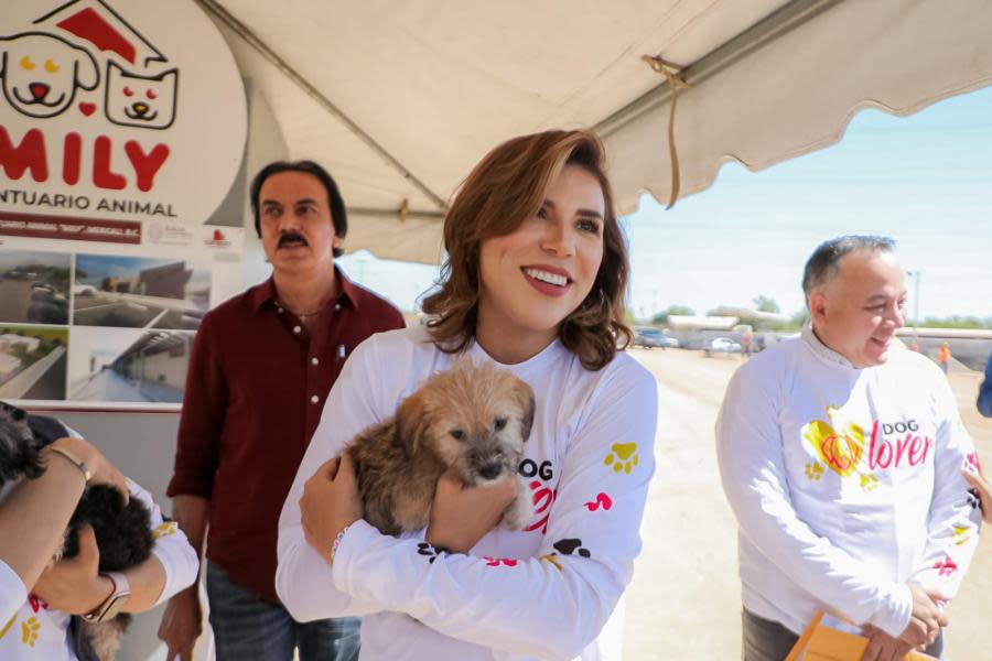 Marina del Pilar refuerza la protección en favor de animales de Baja California  