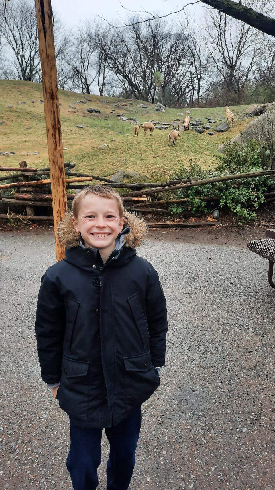 11-year-old Bobby loves lemurs in particular but was happy to pose with a herd of ibexes the Bronx Zoo.