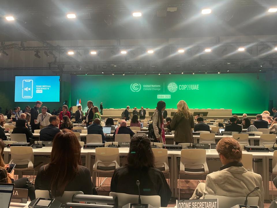 Inside the plenary at Cop28 summit in Dubai (Louise Boyle/ The Independent)