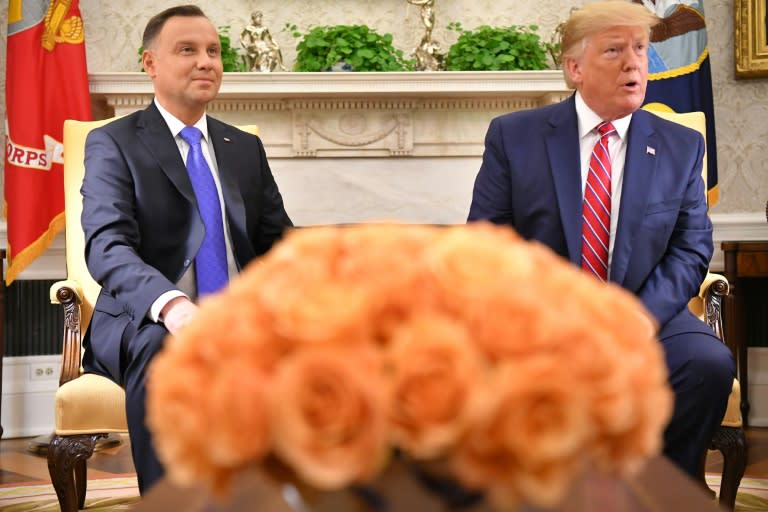 Then-US president Donald Trump meets with Polish President Andrzej Duda in the Oval Office (MANDEL NGAN)