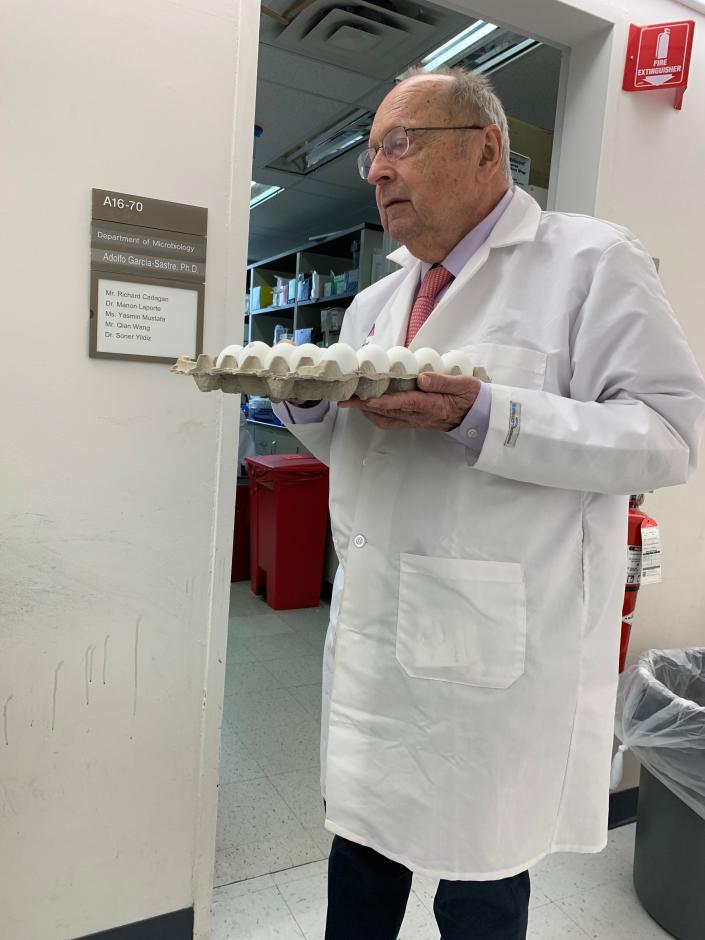 Dr. Peter Palese carries eggs that will be used to help develop a COVID-19 vaccine.