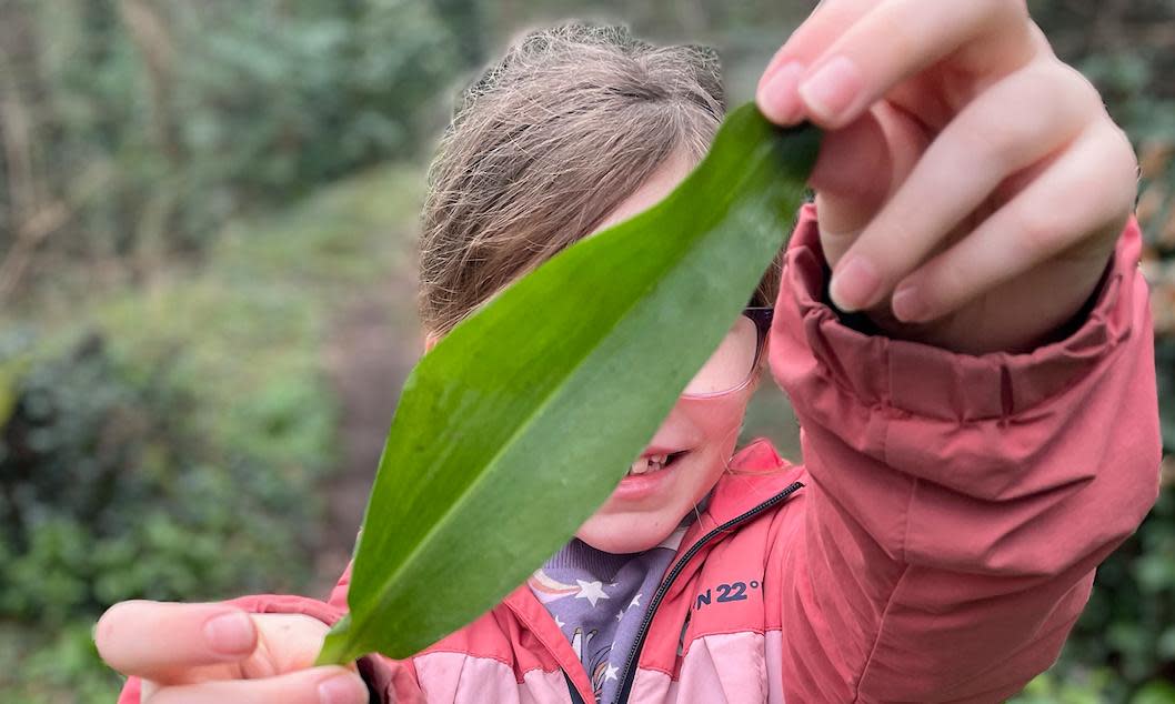 <span>Young Country Diarist Alice collecting wild garlic in the Wye Valley.</span><span>Photograph: Family handout</span>