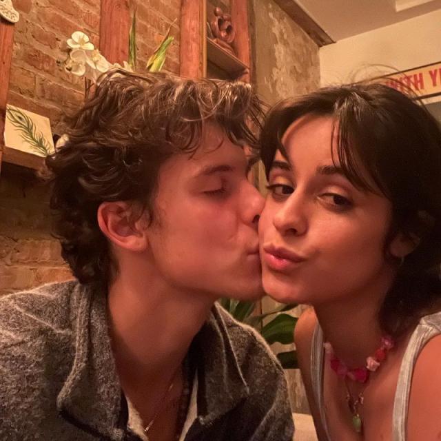 Shawn Mendes & Camila Cabello's Relationship Timeline: They Reunited?