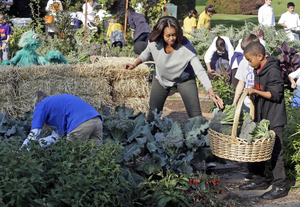 First lady Michelle Obama, center, helps harvest broccoli from the White House garden, located South Lawn of the White House in Washington, with the help of school children, Wednesday, Oct. 30, 2013. With Obama are from left to right, Kennedy Young from North Elementary School, Morgantown, WV., Blaise Wingold from Holton Elementary School in Richmond, Va., and Antonio Negron, Magnolia Elementary School from Joppa, Md.(AP Photo/Pablo Martinez Monsivais)