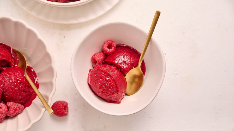 bowl of raspberry sorbet