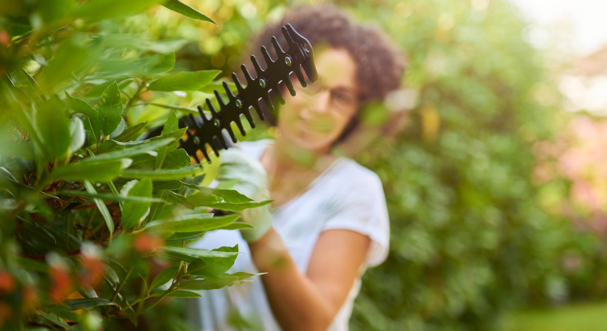 This top-rated hedge trimmer from Argos has been hailed a "game changer' by gardeners.  (Getty Images)