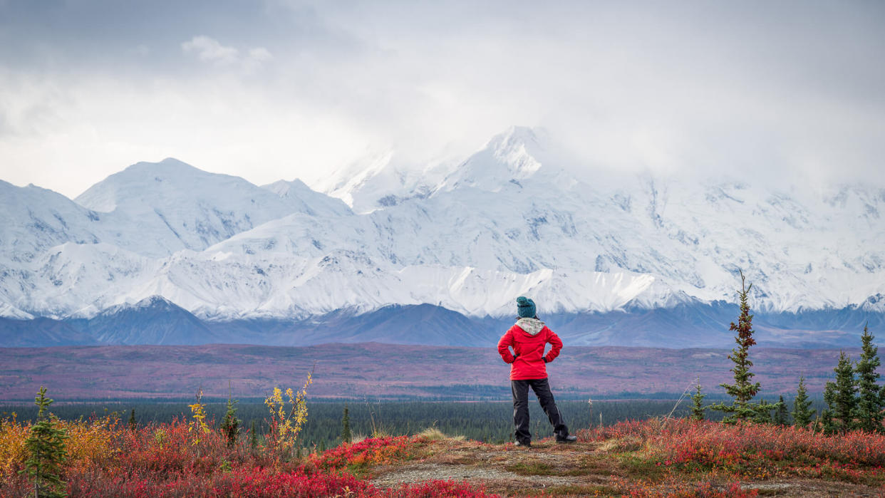 pkujiahe / Getty Images/iStockphoto