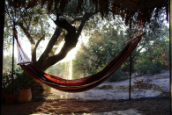 <p>And a hammock that looks perfect for an afternoon nap. (Airbnb) </p>