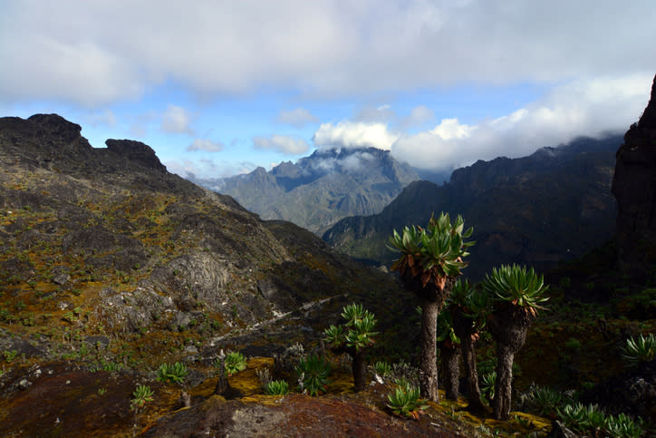 Mount Stanley from Bamwanjara pass