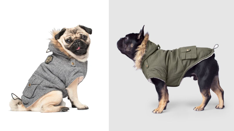 Canada Pooch Alaskan Army Dog Parka.