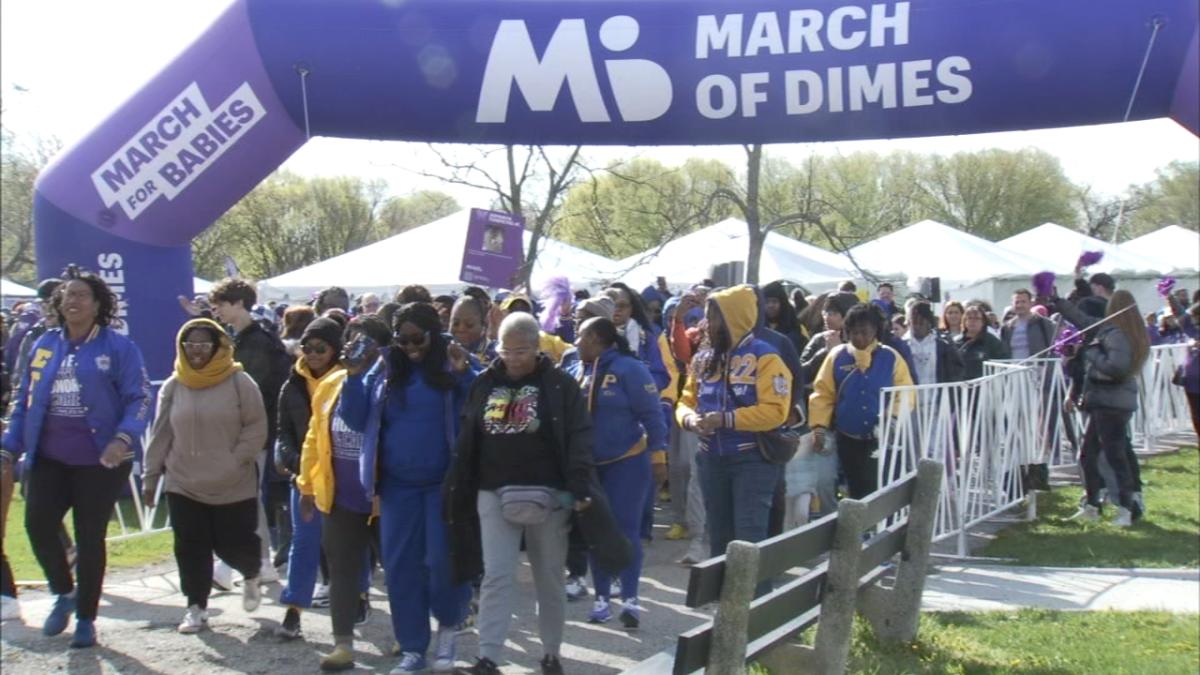 March for Babies walk raises funds, preterm birth awareness