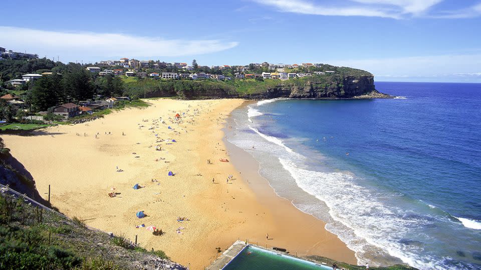 Beachgoers at Bilgola came across the swarms of maggots on Sunday afternoon. They now face a waiting game for them to develop into flies. Source: Getty