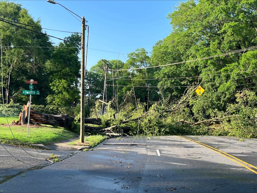Fallen trees blocked York Road at West 12th Avenue in Gastonia. (Gastonia Police Dept.)