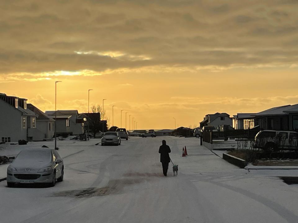 A picture of normality a dogwalker returns to their route (Barney Davis)