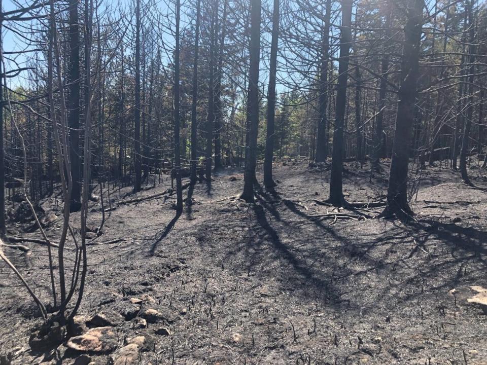 The fire, which was started by an ATV fire in Chamcook, burned through more than 1,300 acres, or about 540 hectares, and destroyed one home in Bocabec. (Mia Urquhart/CBC - image credit)