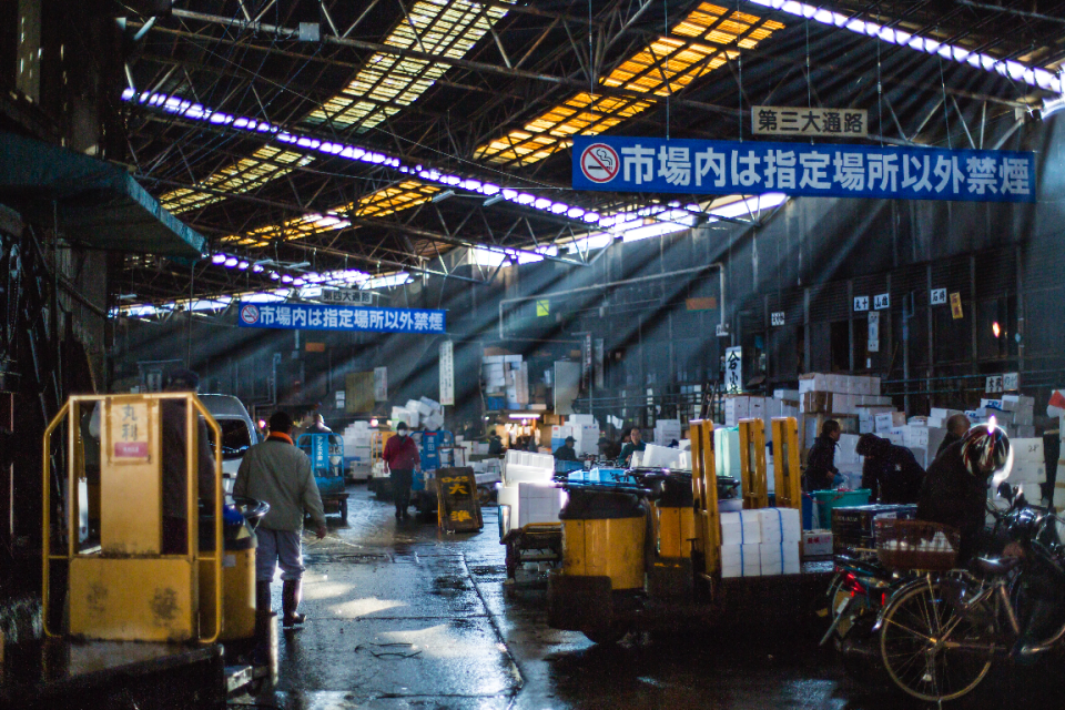 “Tsukiji Wonderland” (Golden Village Pictures)