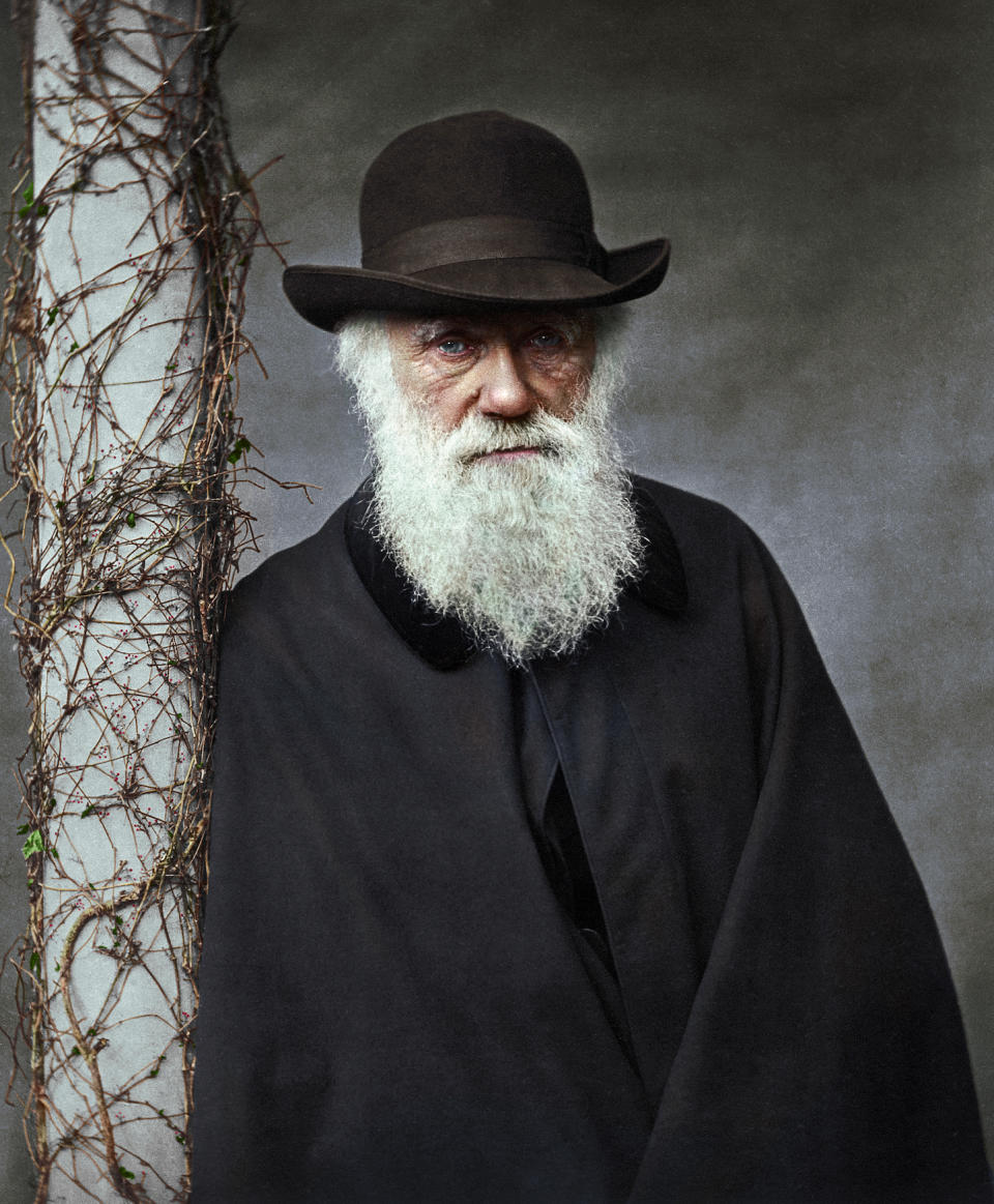 The Colour of Time: Charles Darwin