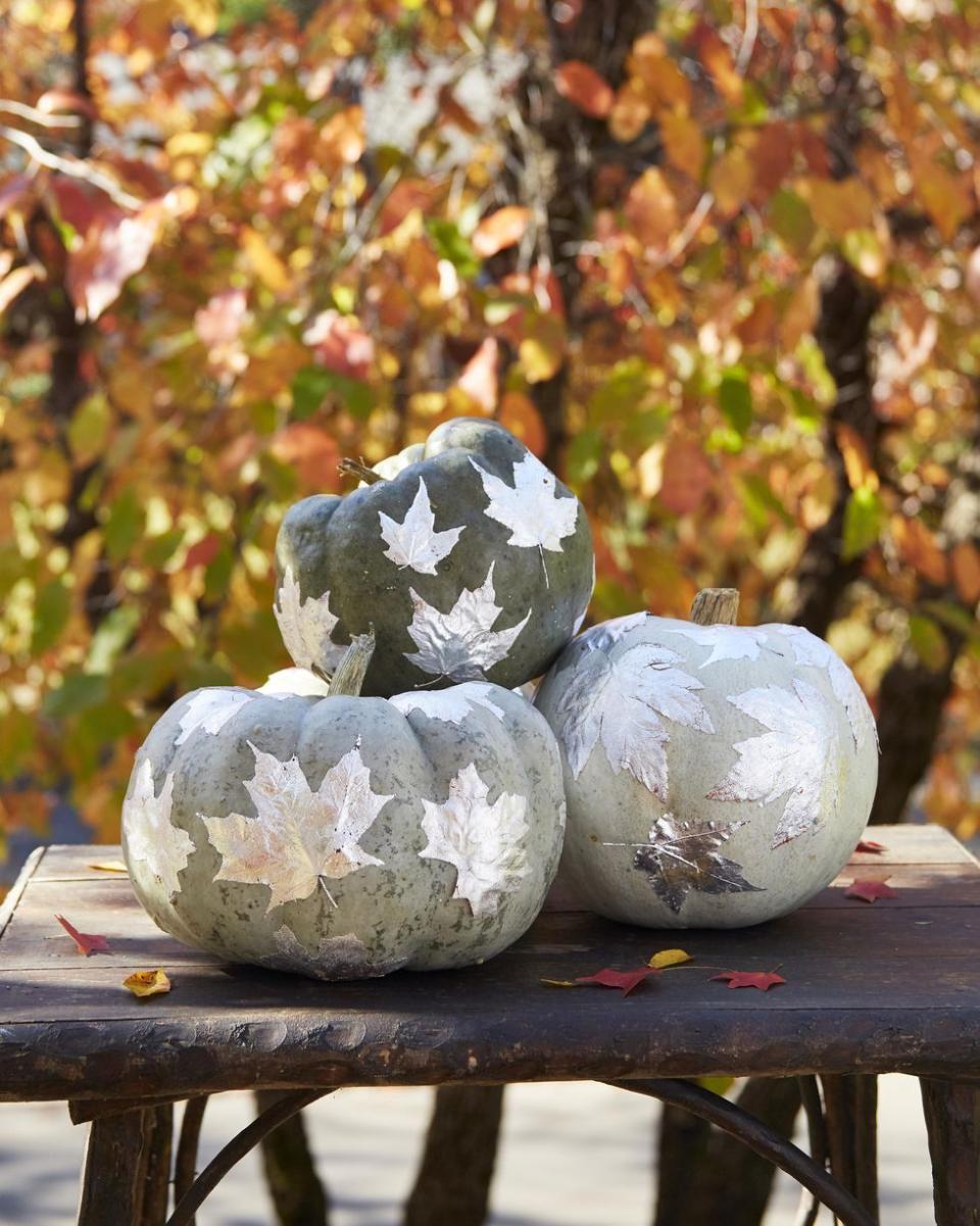 Silver Leaf Pumpkins