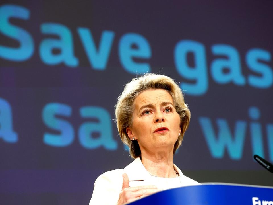 EU Commission president Ursula von der Leyen announces plan to cut gas use (EPA)