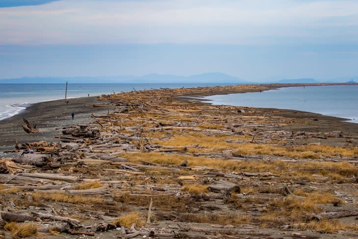 Hike America's longest natural sand spit is in the Dungeness National Wildlife Refuge