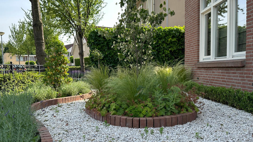 Brick borders around plants in yard